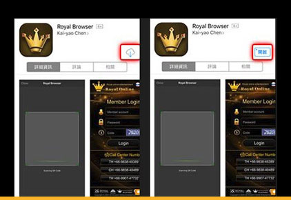 royal browser play store