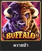 buffalo slot