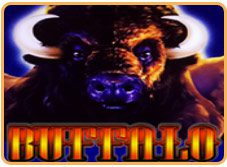 buffalo slot