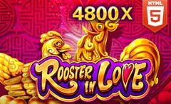 rooster in love slot